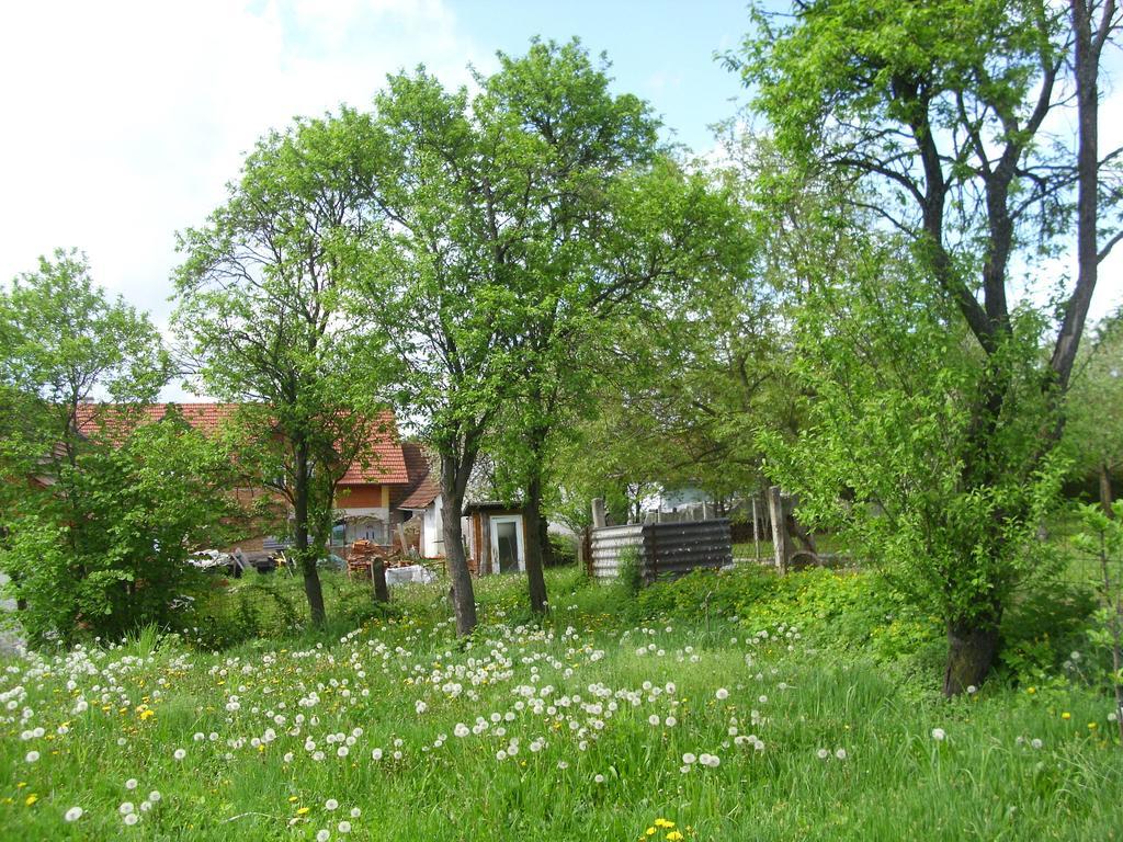 דירות Heiligenkreuz im Lafnitztal Rosmarinhof מראה חיצוני תמונה